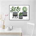 Picture of Plants in Grey vases _GroupedProduct_Rectangle_Landscape_Canvas_Framed_