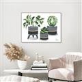 Picture of Plants in Grey vases _GroupedProduct_Rectangle_Landscape_Canvas_Framed_