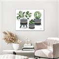 Picture of Plants in Grey vases _GroupedProduct_Rectangle_Landscape_Canvas_Framed_