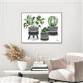 Picture of Plants in Grey vases _GroupedProduct_Rectangle_Landscape_Canvas_Framed_