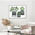 Picture of Plants in Grey vases _GroupedProduct_Rectangle_Landscape_Canvas_Framed_