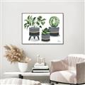 Picture of Plants in Grey vases _GroupedProduct_Rectangle_Landscape_Canvas_Framed_