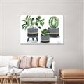 Picture of Plants in Grey vases _GroupedProduct_Rectangle_Landscape_Canvas_Framed_