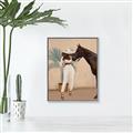 Picture of Fashion and Horse  _GroupedProduct_Rectangle_Portrait_Canvas_Framed_