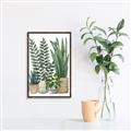 Picture of Plant Party I  _GroupedProduct_Rectangle_Portrait_Canvas_Framed_