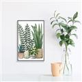 Picture of Plant Party I  _GroupedProduct_Rectangle_Portrait_Canvas_Framed_