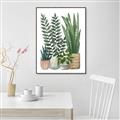 Picture of Plant Party I  _GroupedProduct_Rectangle_Portrait_Canvas_Framed_