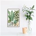 Picture of Plant Party II  _GroupedProduct_Rectangle_Portrait_Canvas_Framed_