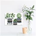 Picture of Plants in Grey vases _GroupedProduct_Rectangle_Landscape_Unframed_Print_Only_