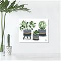Picture of Plants in Grey vases _GroupedProduct_Rectangle_Landscape_Unframed_Print_Only_