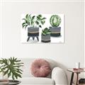 Picture of Plants in Grey vases _GroupedProduct_Rectangle_Landscape_Unframed_Print_Only_