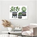 Picture of Plants in Grey vases _GroupedProduct_Rectangle_Landscape_Unframed_Print_Only_