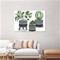 Picture of Plants in Grey vases _GroupedProduct_Rectangle_Landscape_Unframed_Print_Only_