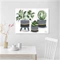 Picture of Plants in Grey vases _GroupedProduct_Rectangle_Landscape_Unframed_Print_Only_