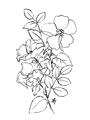Picture of Flower Drawing _GroupedProduct_Rectangle_Portrait_Unframed_Print_Only_