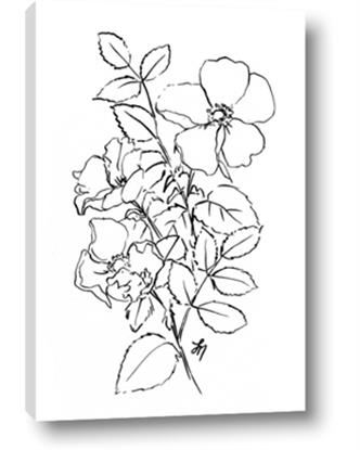 Picture of Flower Drawing