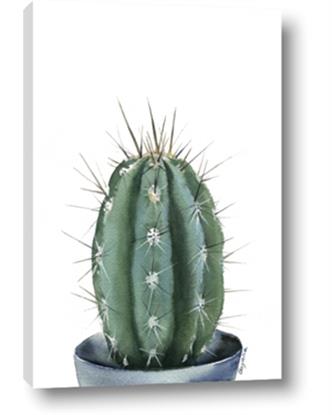 Picture of Cactus    