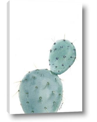 Picture of Bunny Cactus