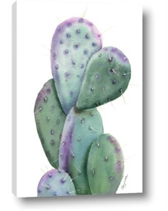Picture of Prickly Pear Cactus 