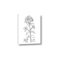 Picture of Single Hydrangea Drawing _GroupedProduct_Rectangle_Portrait_Canvas_