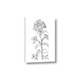 Picture of Single Hydrangea Drawing _GroupedProduct_Rectangle_Portrait_Canvas_