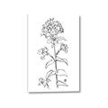 Picture of Single Hydrangea Drawing _GroupedProduct_Rectangle_Portrait_Canvas_