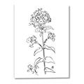 Picture of Single Hydrangea Drawing _GroupedProduct_Rectangle_Portrait_Canvas_