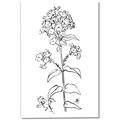 Picture of Single Hydrangea Drawing _GroupedProduct_Rectangle_Portrait_Canvas_