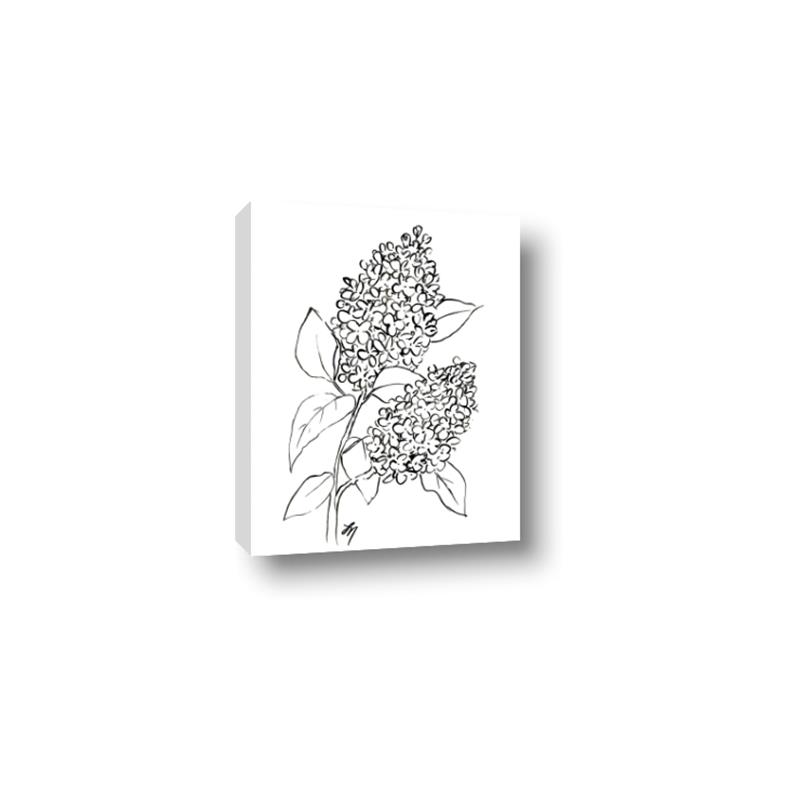 Picture of Panicle Hydrangea Drawing _GroupedProduct_Rectangle_Portrait_Canvas_