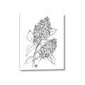 Picture of Panicle Hydrangea Drawing _GroupedProduct_Rectangle_Portrait_Canvas_