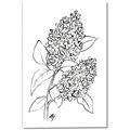 Picture of Panicle Hydrangea Drawing _GroupedProduct_Rectangle_Portrait_Canvas_