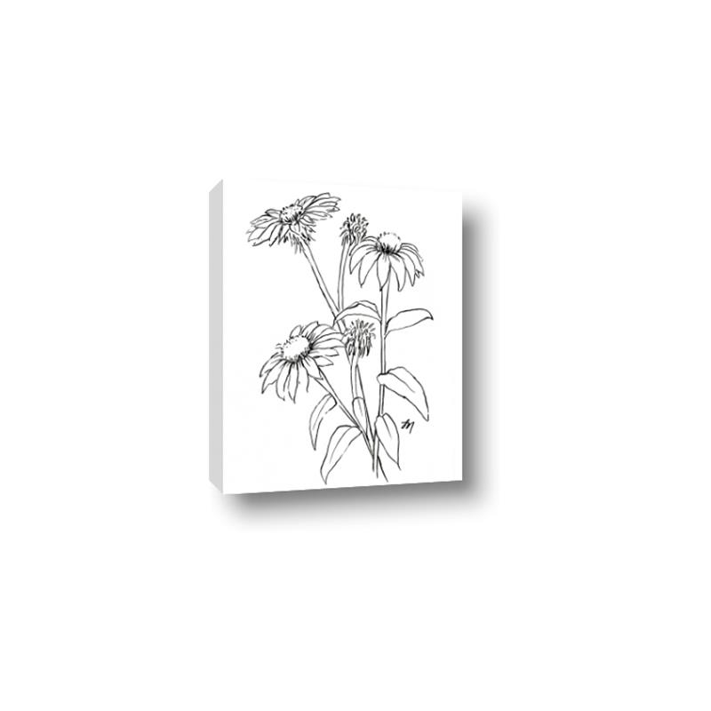 Picture of Daisy Drawing _GroupedProduct_Rectangle_Portrait_Canvas_
