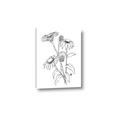 Picture of Daisy Drawing _GroupedProduct_Rectangle_Portrait_Canvas_