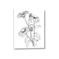 Picture of Daisy Drawing _GroupedProduct_Rectangle_Portrait_Canvas_
