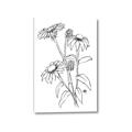 Picture of Daisy Drawing _GroupedProduct_Rectangle_Portrait_Canvas_