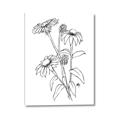 Picture of Daisy Drawing _GroupedProduct_Rectangle_Portrait_Canvas_