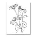 Picture of Daisy Drawing _GroupedProduct_Rectangle_Portrait_Canvas_