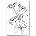Picture of Daisy Drawing _GroupedProduct_Rectangle_Portrait_Canvas_