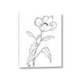 Picture of Poppy Drawing _GroupedProduct_Rectangle_Portrait_Canvas_