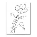 Picture of Poppy Drawing _GroupedProduct_Rectangle_Portrait_Canvas_
