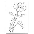 Picture of Poppy Drawing _GroupedProduct_Rectangle_Portrait_Canvas_