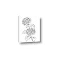 Picture of French Hydrangea Drawing _GroupedProduct_Rectangle_Portrait_Canvas_