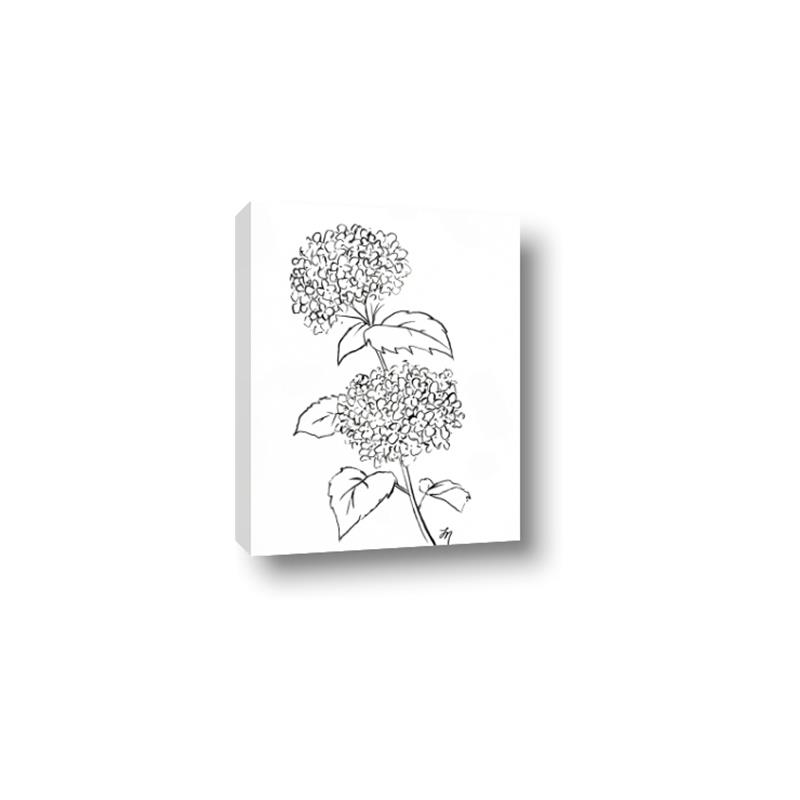 Picture of French Hydrangea Drawing _GroupedProduct_Rectangle_Portrait_Canvas_