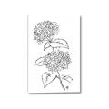 Picture of French Hydrangea Drawing _GroupedProduct_Rectangle_Portrait_Canvas_