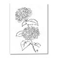 Picture of French Hydrangea Drawing _GroupedProduct_Rectangle_Portrait_Canvas_