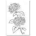 Picture of French Hydrangea Drawing _GroupedProduct_Rectangle_Portrait_Canvas_