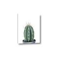 Picture of Cactus     _GroupedProduct_Rectangle_Portrait_Canvas_
