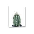 Picture of Cactus     _GroupedProduct_Rectangle_Portrait_Canvas_