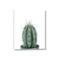 Picture of Cactus     _GroupedProduct_Rectangle_Portrait_Canvas_