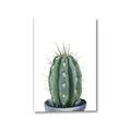 Picture of Cactus     _GroupedProduct_Rectangle_Portrait_Canvas_
